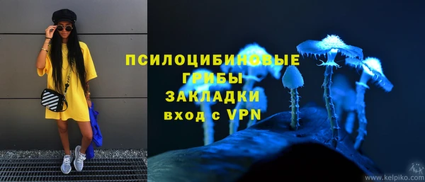 твердый Бердск