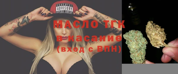 твердый Бердск