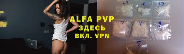 твердый Бердск