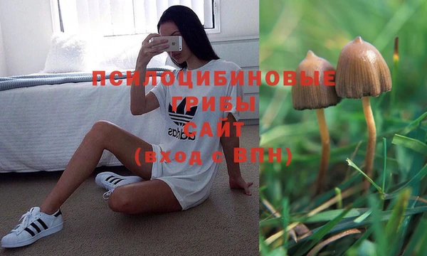 марки nbome Алагир