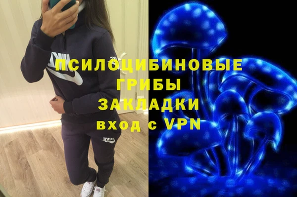 твердый Бердск