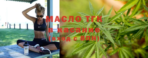 твердый Бердск