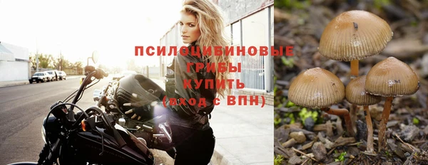 apvp Алапаевск