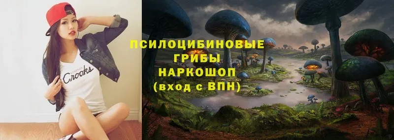 что такое наркотик  Гурьевск  Галлюциногенные грибы Psilocybine cubensis 