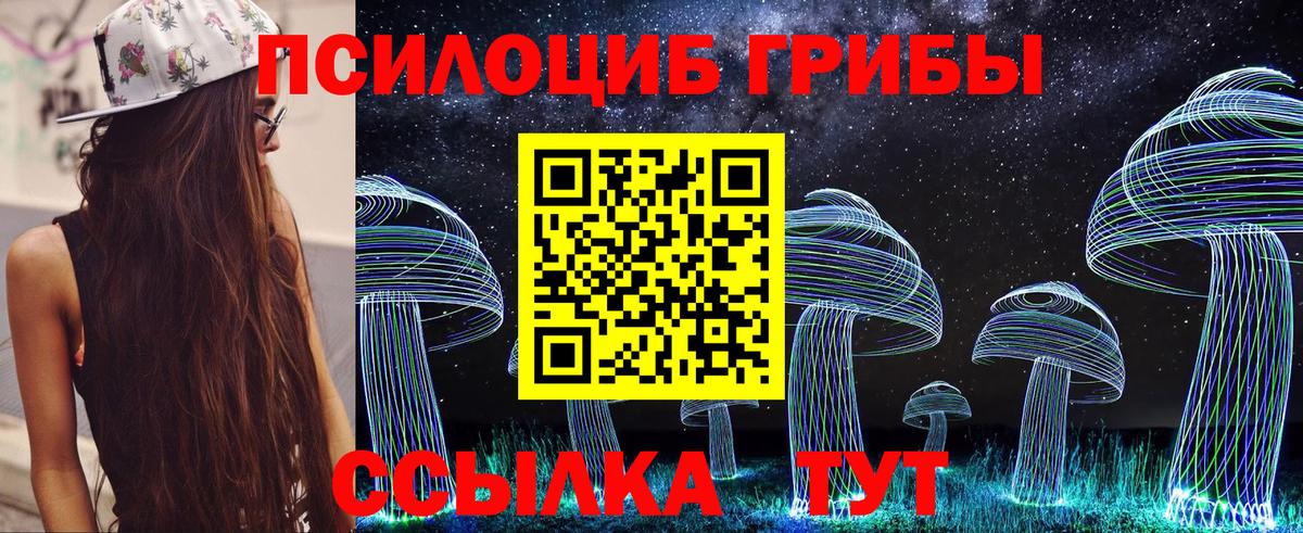 Псилоцибиновые грибы ЛСД Гурьевск