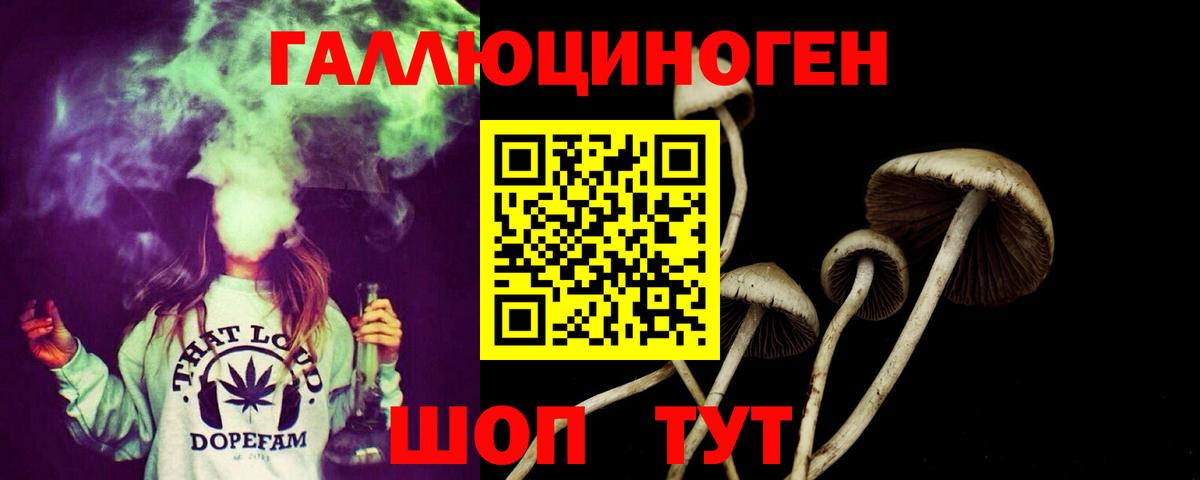 Псилоцибиновые грибы мицелий  Гурьевск 